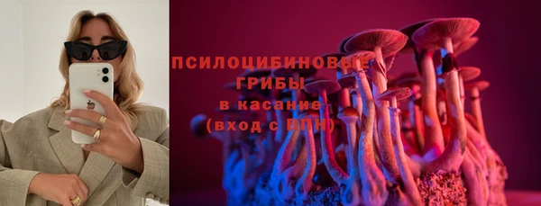 ALPHA-PVP Елизово