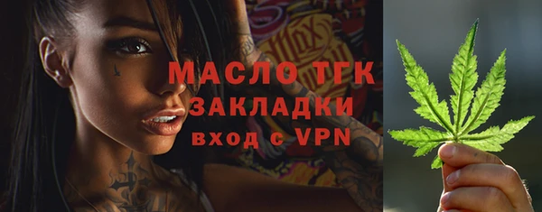 мет Ельня