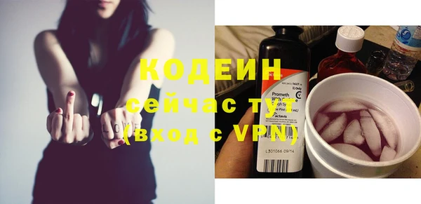 мет Ельня