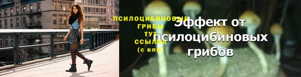 мет Ельня