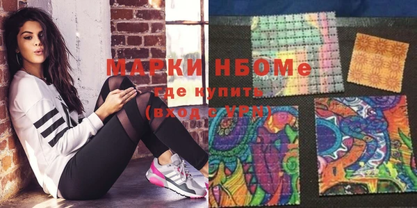 мет Ельня