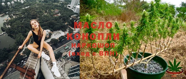 мет Ельня