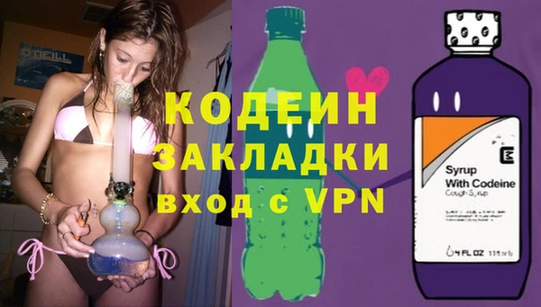 мет Ельня