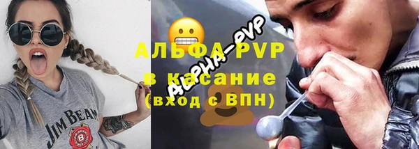 мет Ельня